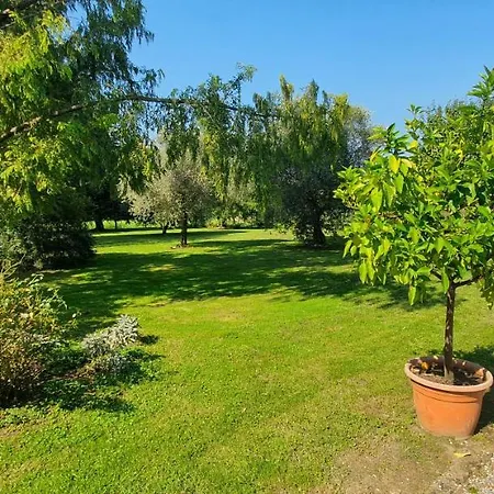 Il Borghetto לינה וארוחת בוקר